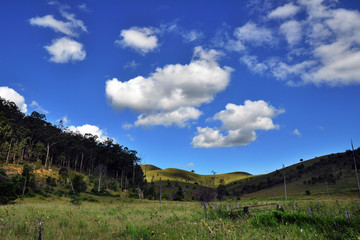 Australia Landscape : Valley of Mt. Barney