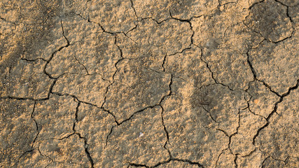 Dry soil texture background