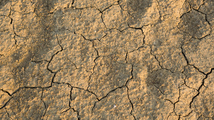 Dry soil texture background