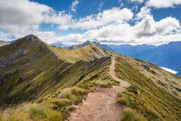 An alpine section of the Kepler Track © naruedom