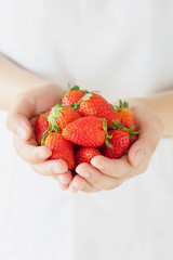 female hands holding handful of strawberries