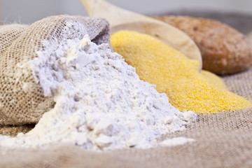wheat and maize flour