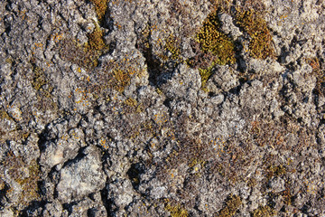 stone surface texture, natural material background