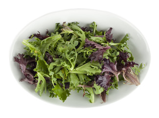 a plate of vegetable salad