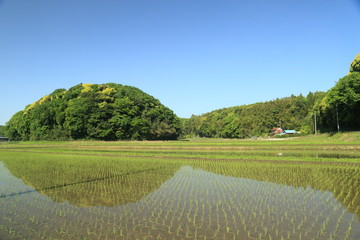 The landscape of Satoyama.The country with hills and fields, a field and a rice paddy is called Satoyama in Japan. This picture was taken in Inzai city in Chiba prefecture.