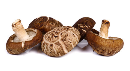 fresh shiitake mushroom on white background