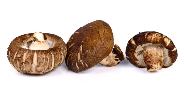 fresh shiitake mushroom on white background