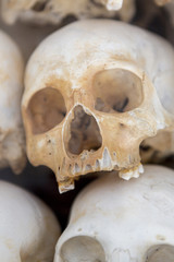 Skulls and bones in Killing field, Phnom Penh, Cambodia
