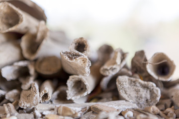 Skulls and bones in Killing field, Phnom Penh, Cambodia