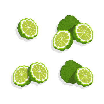 Lime set isolated on white background