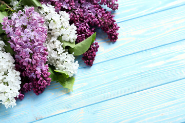 Blooming lilac flowers on a blue wooden table