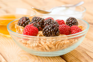 breakfast cereal bowl with berries and yogurt