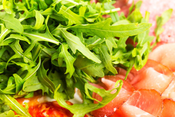 Delicious italian dried meat with arugula.
