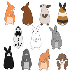 colorful rabbits set