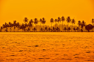 beautiful sunset scene of backwaters Kerala with silhouette of p - obrazy, fototapety, plakaty
