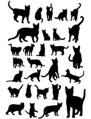 Cat Silhouettes Set, art vector design