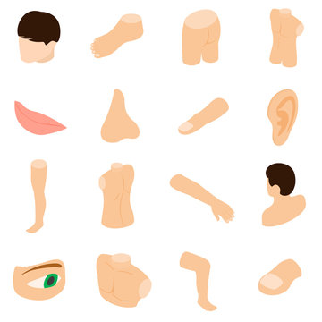 Body parts icons set, isometric 3d style