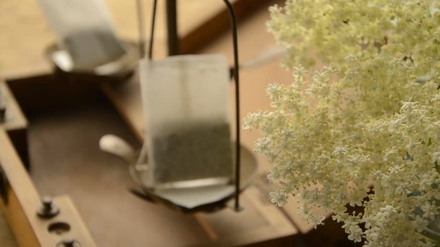 Sambucus Sambuco Fl&auml;dersl&auml;ktet خمان Bez Seljat Sureau Holunder Sa&uacute;co סמבוק Elder Bodza n&ouml;v&eacute;nynemzets&eacute;g ニワトコ属 덧나무 M&uuml;rver 接骨木属 Soc Hyld Bazga Կտտկենի ანწლი Elderberry