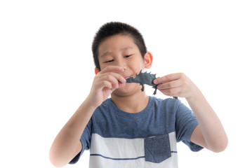 Asian boy playing clay on white background
