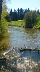 Wildwasser Fluss Natur