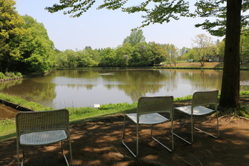 Fototapeta premium 池