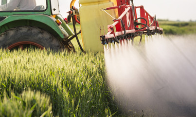 Tractor spraying wheat field - obrazy, fototapety, plakaty