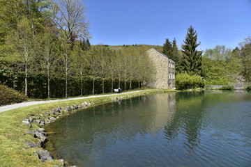Fototapeta premium Les berges de l'étang du Moulin près de l'ancien moulin à eau aux Jardins d'Eau d'Annevoie 