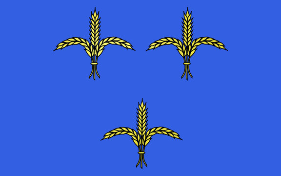 Flag of Brive-la-Gaillarde, France