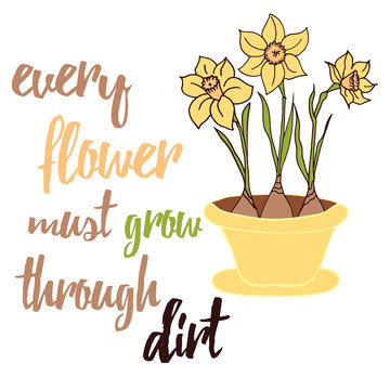 Spring flowers daffodils grows on the flower pot. Typographic poster.