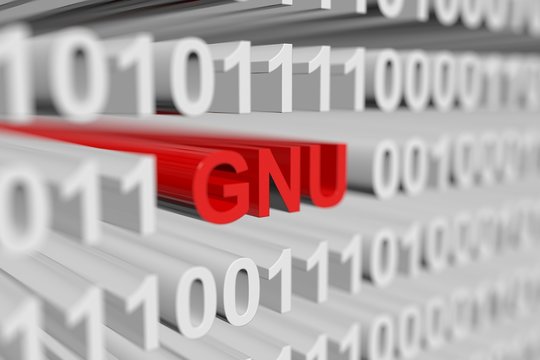 GNU as a binary code with blurred background 3D illustration