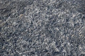 Background from the ashes of the burnt grass