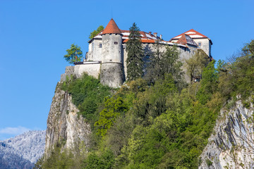 Fototapeta na wymiar Bled, Slovenia - fortress on the hill