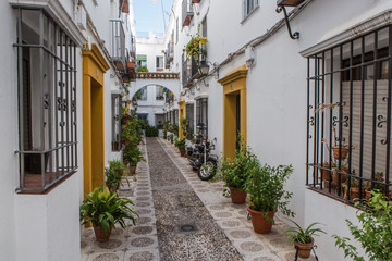 Fototapeta na wymiar Cityscape view of the floral street in Cordoba, Andalusia, Spain