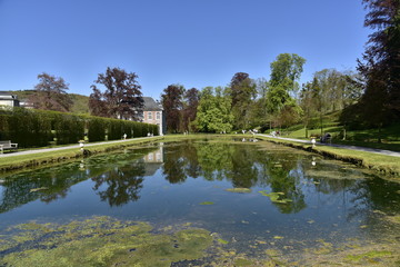 Végétation aquatique et reflet du 3ème étang des Jardins d'Eau d'Annevoie