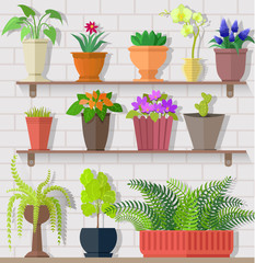 Houseplant Set Design Flat Concept