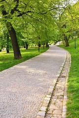 Fototapeta na wymiar Beautiful green spring park. The path in the park. Beautiful quiet place in the middle of town. Rest and relaxation outdoors. Brno city - Czech republic Spilberk.