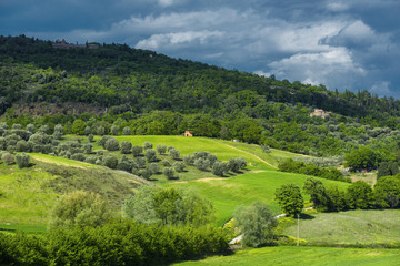 Fototapeta na wymiar Tuscan spring magical landscape.