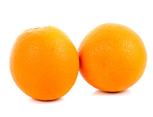 oranges on white background