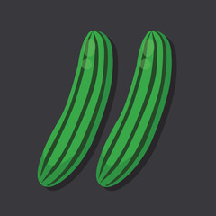 Flat Design Cucumber Icon Vector Illustration