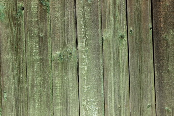 Fototapeta na wymiar wall of green wood planks