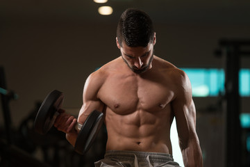 Fototapeta na wymiar Man In The Gym Exercising Biceps With Dumbbell
