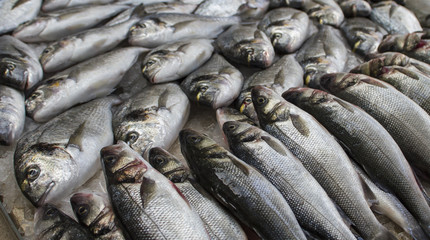Obraz premium Fishes on a market