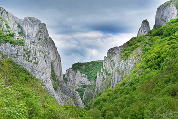 Obraz premium Majestic limestone gorge. Cheile Turzii, Romania