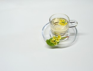 Schlüsselblume, Primula, Tee, Kräutertee, Naturheilkunde