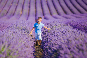 Boy in lavender summer field