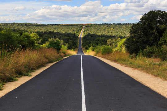 Fototapeta Forest with road at National park Zombitse in Madagascar