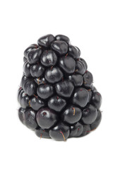 raspberry fruit