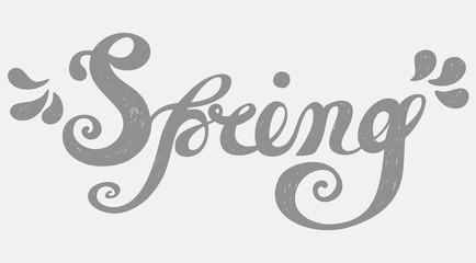 Spring Quote. Spring season or springtime. Spring hand drawn lettering rough typography. Spring typography design element. Gray background.