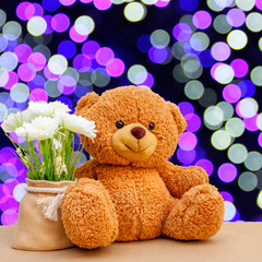 Nice and cute teddy bear with blured background