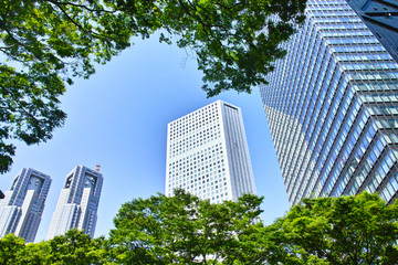 新緑と東京都庁ビル